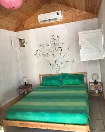 Paradise