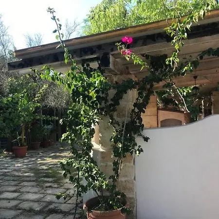 Paradise