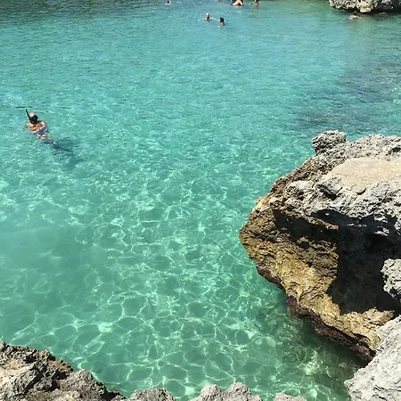 Paradise